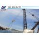 WD100(2420) Roof Tower Crane 10ton 24m Jib Tower Crane for Sale
