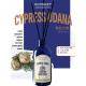 CYPRESS UDANA Reed Diffuser Wholesale OEM Perfume home decor natural glass bottle essential oil aroma Rattan Sticks