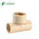 ASTM Standard Pn16 CPVC Female Tee Brass Water Supply Type Cap and So on for Your