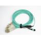 Standard Green / Elite Yellow fiber optic jumper OM3 MPO - LC 24 Core
