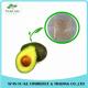 High Quality Avocado Spray-Dried Fruit Instant Powder Avocado Fruit Extract