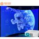 AR Interactive Wall 3d Immersive Room Holographic Wall Projection Game