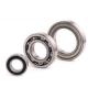 Plastic 20 Mm Agricultural Machinery Bearing 6204 Model For Electrical Machine