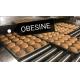 OBESINE full automatic  Hamburger Buns  Production Line,Automatic Sandwich bread divider rounder ,dough proofer