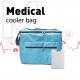 33 Liter Soft Pack Cooler Blood Transport Zipper Mini Cooler Bag For Medicine