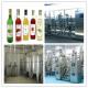 Complete Automatic Dried Fruit Production Line Dried Kiwi Production Line