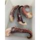 A Grade Quality Hot selling Frozen Giant squid tentacles NW 30 60g