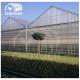 HDG Polycarbonate Sheet Greenhouse For Residential Applications