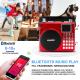 Newgood 20W Bluetooth Outdoor Music Player with Voice recording and Handle