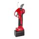 Electric Pruning Shears 2 Battery Optional Extension Rod Vineyard Vines Power Tools Cordless