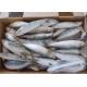 Fresh 75g Sardinops Melanostictus Frozen Sardine Fish