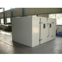 Freezer Cold Room Walk In Freezer For Industrial / Commercial Use