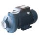 0.75HP 0.55KW Single Phase Centrifugal Water Pump For Farm Irrigation