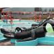 Small Fiberglass Water Pool Slides For Kids , Water Park Equipment Crocodile Slide