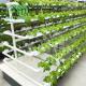 pH Control Hydroponic System Indoor Hydroponic Garden Tower With Lights