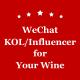 WeChat KOL Marketing Wine In China Weibo Influencer PPT Design