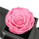 Decoration Valentines Flowers In A Box , Two Side Open Custom Rose Box