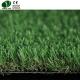 Garden Synthetic Turf Pretty Your Home