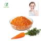 Hot Sale Natural Pigment Choice Carrot Powder Carrot Extract Beta Carotene Powder