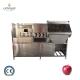 Fruit Peeling Function Commercial Electric Apple Peeler Corer Slicer 2500*1000*1500 mm