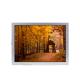 4.7 inches rectangle lcd screen LM32K10 display LCD panel New original