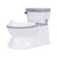 Eco Friendly Gray Printed Kids Toilet for Baby Training - EN-71 Certified Seat