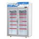 0~10℃ Temperature Commercial Stand Up Freezer For Drink / Milk Cooler