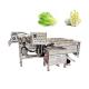 Leafy Vegetable Min Folding Washing Machin For Wholesales