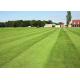 Abrasion Resistant  Soccer Synthetic Lawn Artificial Turf