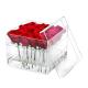 Airtight Acrylic Box Flower Arrangement Eternal