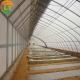 Customized Width Traditional Solar Vegetable Greenhouse with Film Cover Material