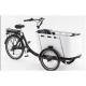 250W Kid / Cargo Electric Delivery Tricycle With Canopy
