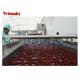 High Speed Automatic Fruit And Vegetable Processing Line Red Date Crusher