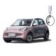 powerful mini eV cars eco friendly adult electric vehicle new energy
