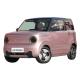 Automotive Used Mini EV Cars Electric Vehicles Geely Panda For Adult