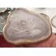 Modern Natural Stone Crafts Colorful Agate Stone Slice Coasters For Decoration