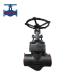 A105 F11 F22 F304 F316 F321 Forged  Globe Valve Cast Steel Stainless Steel