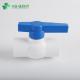 Channel Straight Through Type PVC Socket Compact Round Ball Valve with ASTM Standard