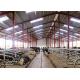 High Strength Light Steel Farm Sheds For Cattle Prefabricated Design 9406900090