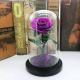 Wholesale Forever Roses  preserved roses in glass dome Fresh flower rose Christmas Decorations
