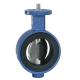 Keystone F9 Series Butterfly Flow Control Valve With Pneumatic Actuator