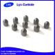 Cemented carbide buttons & inserts for mining tools D types parabolic button