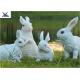Simulation Fiberglass Rabbit Garden Ornament , Full Size Garden Statues 