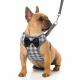 No Pull Small Dog Harness And Leash Set With Breathable Soft Mesh Nylon Vest