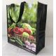 Foldable Recyclable Plastic Printed Tote Carry Handle Plastic Shopping Bag