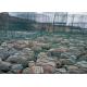 Pvc Coated Gabion Baskets , Rock Filled Gabion Cages For Seaport Engineering