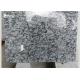 Black And White Granite Stone Tiles For Interior And Exterior Flooring / Wall