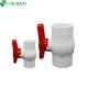 High Pressure Octagonal PVC Ball Valve with  Seat Seal and Durable Construction