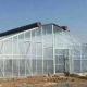Hot-DIP Galvanized Steel Pipe Structure Multi-Span Greenhouse for Hydroponic System and Various Crops