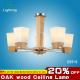 2014 August NEW oak wood ceiling lamp pendant lamp glass lampshade residential ligthing